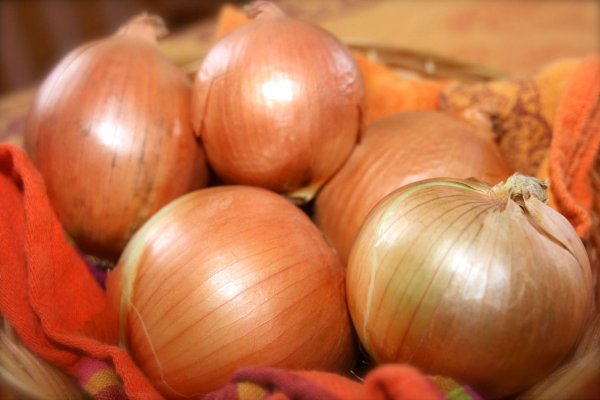 Сайты по продаже наркотиков