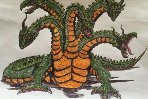 Kraken forum