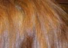 Как убрать желтизну волос после осветления: простые советы и проверенные способы Какой краской обесцветить рыжие волосы