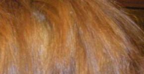 Как убрать желтизну волос после осветления: простые советы и проверенные способы Какой краской обесцветить рыжие волосы