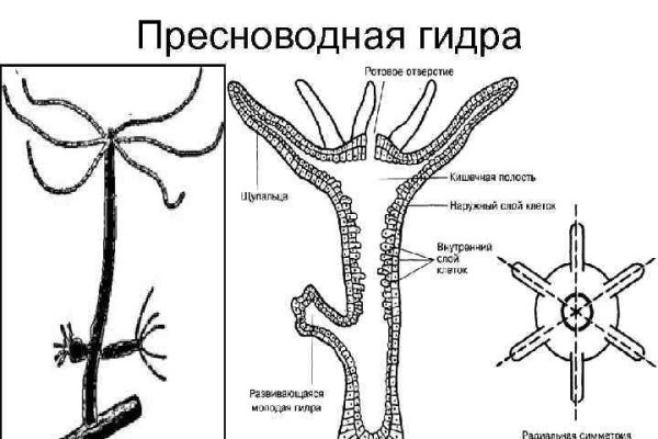 Что с кракеном сайт