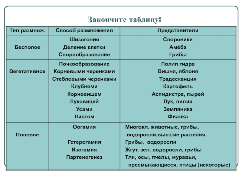 Ссылки онион