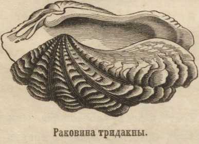 Сайт кракен онион
